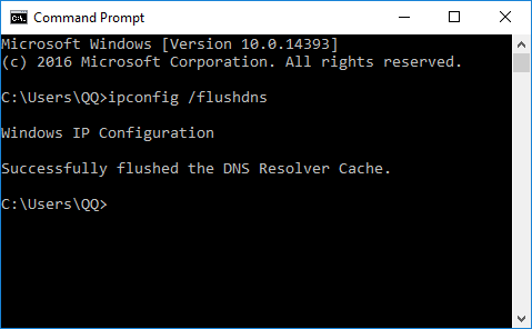 Successfully flushed the DNS Resolver Cache