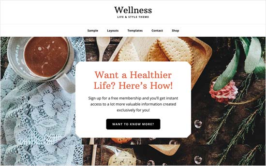 Wellness Pro theme for dentists and medical