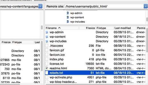 Locating robots.txt file on a WordPress site using FTP client